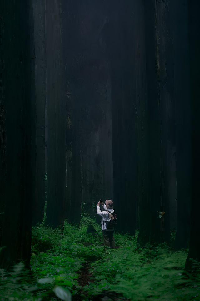 神瀑溝後山
