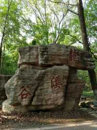 大口國家森林公園奇遇記