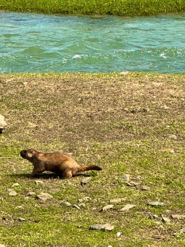 我的阿勒泰之可可托海 我的阿勒泰之可可托海