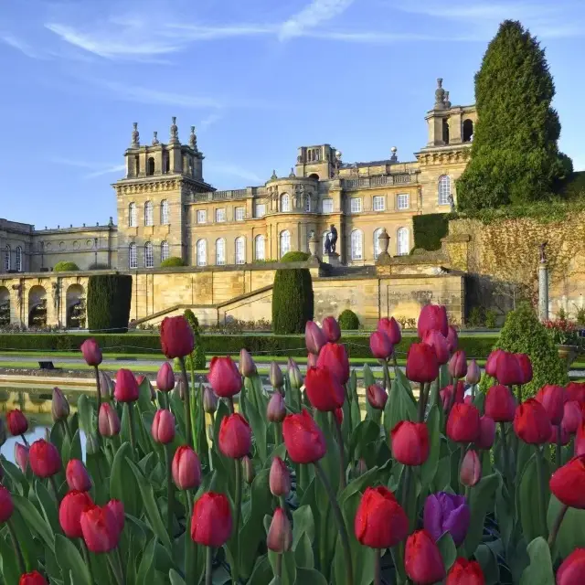 Perfect Experience at Bicester Village and Blenheim Palace