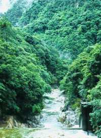 原始森林公園，絕美之旅