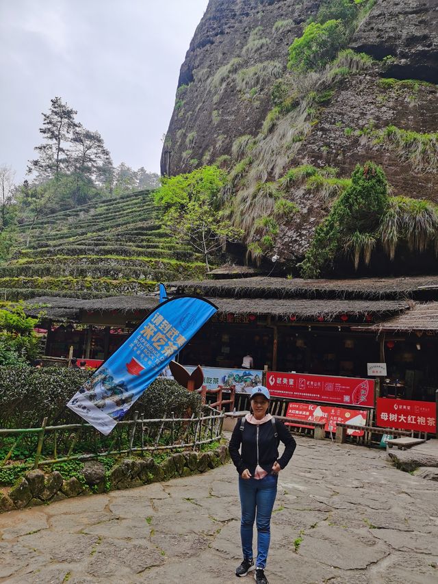 岩石清澈，樹木翠綠，茶香四溢，武夷山國家公園的真實體驗