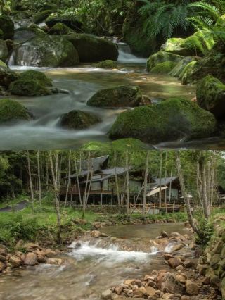 廣東省周邊遊|隱居在雲海裡的民宿