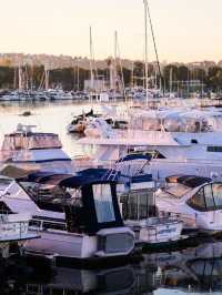 🌟 Marina Delights: Ritz-Carlton's Luxe Stay 🌊
