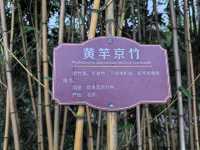 竹林水鄉西張趕