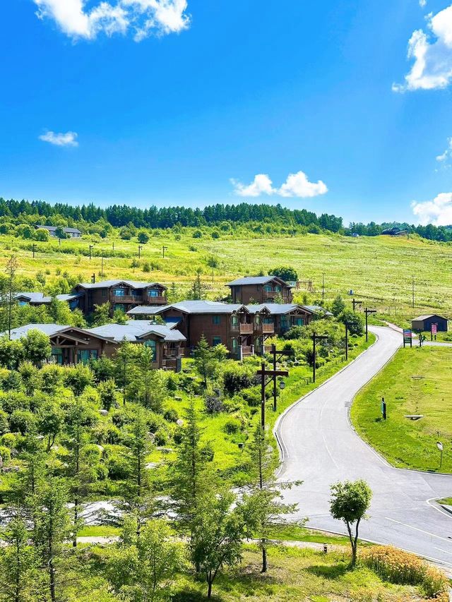 碼住請收好這篇避暑旅行攻略 碼住請收好這篇避暑旅行攻略