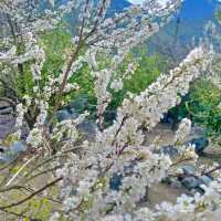 【8月好去處】游清遠水浪花谷，如入仙境