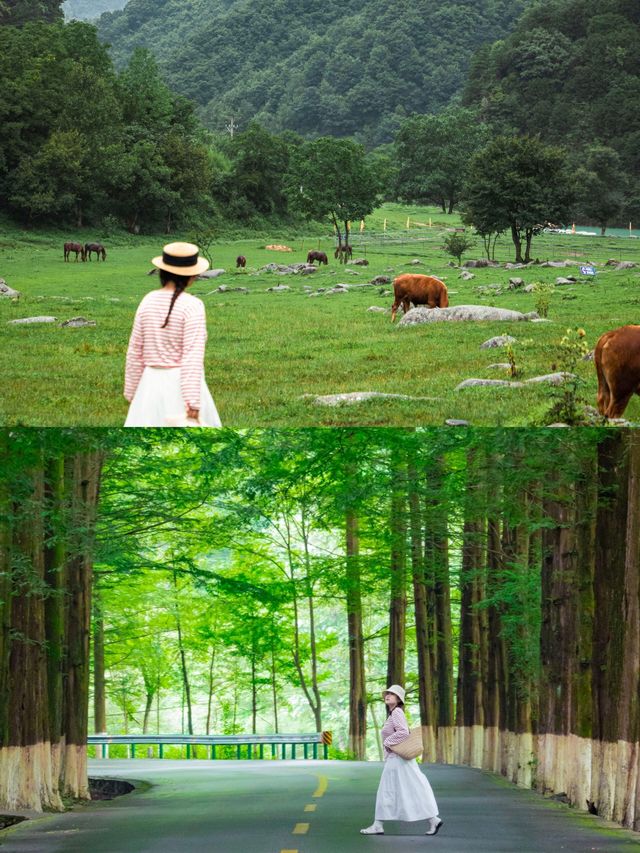 這才是夏天西安周邊最適合避暑的寶藏小城|||