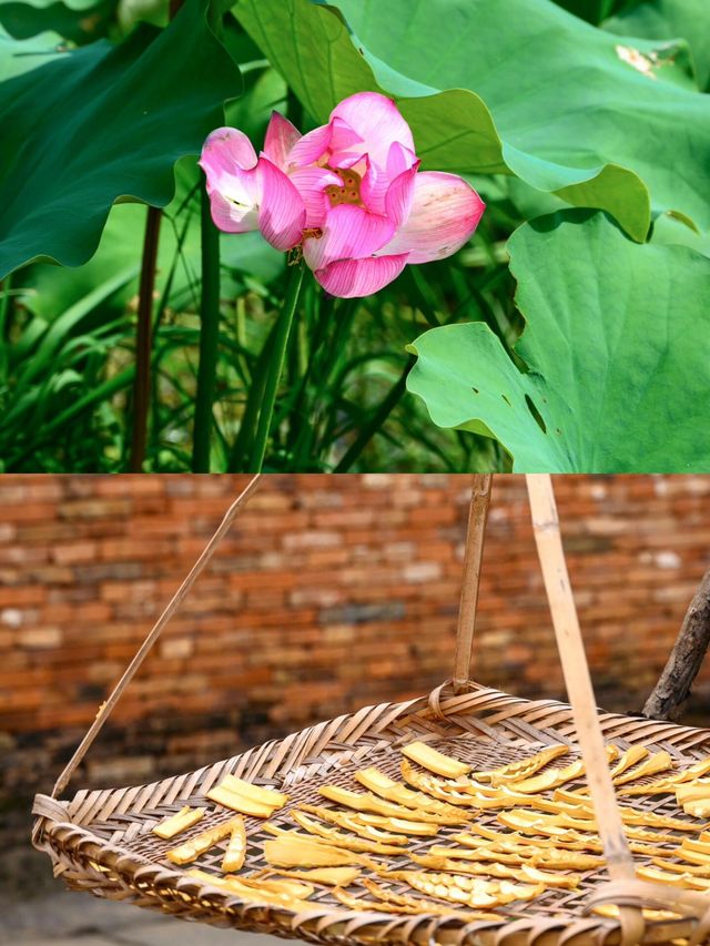 國內竟然有這麼美的避世古村，捨不得公開|||