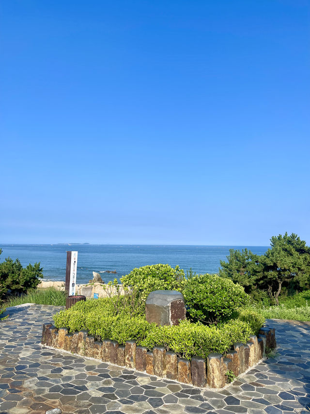 青島第二美的海邊棧道！！99%遊客不知道！