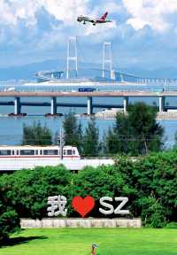 夏日再出發深圳，機場附近的寶安紅樹林公園我拍到了人生瞬間畫