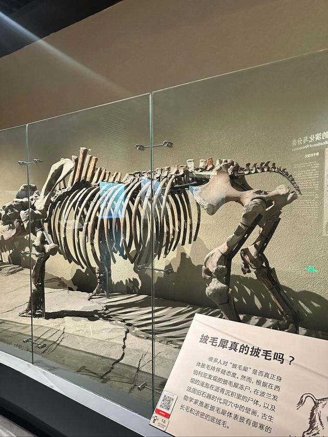 在大慶東北感受歷史的震撼~。