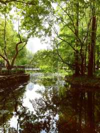 魔都綠寶石|中山公園。