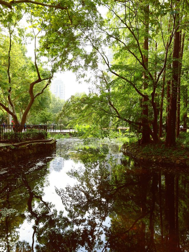 魔都綠寶石|中山公園。