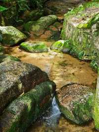 🌞廣州精神避難所：玉岩書院