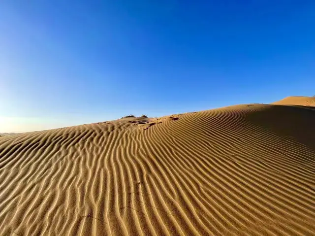 ทะเลทรายอันกว้างใหญ่ไพศาล ทุกภาพที่ถ่ายล้วนแสดงถึงความเก่าแก่โบราณ