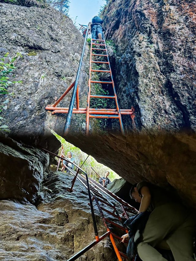 真的在福建後悔沒早點來。 真的在福建後悔沒早點來。
