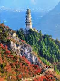 漫山紅葉似彩霞，最美三峽紅葉季來啦。