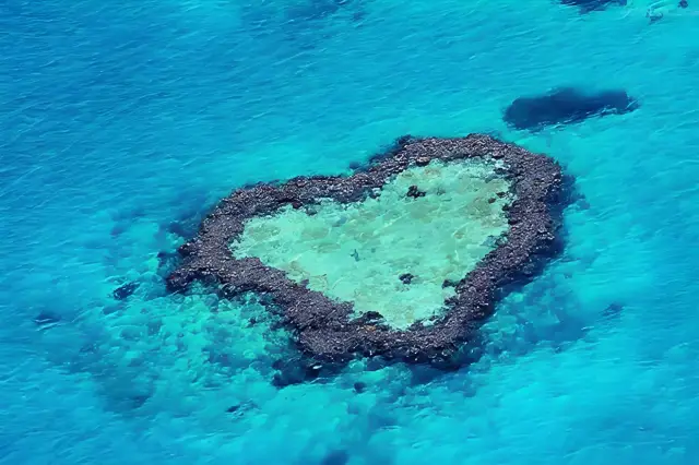 The Great Barrier Reef: An underwater kingdom and natural wonder.