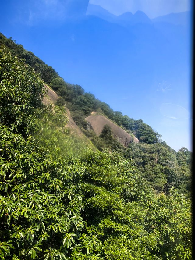 九華後山的九子岩也很美。 九華後山的九子岩也很美。