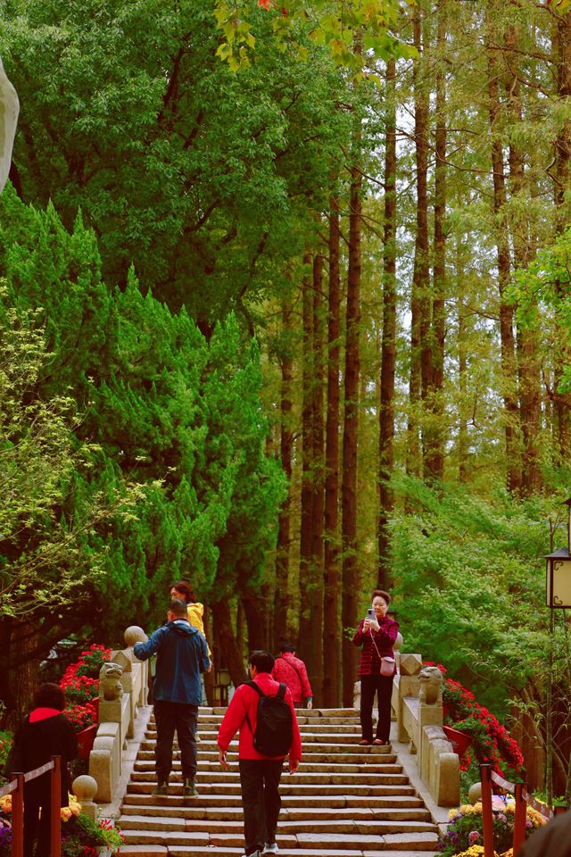 又到了醉白池最美的季節。 又到了醉白池最美的季節。