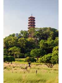 深圳紅花山公園｜走進有風的公園。