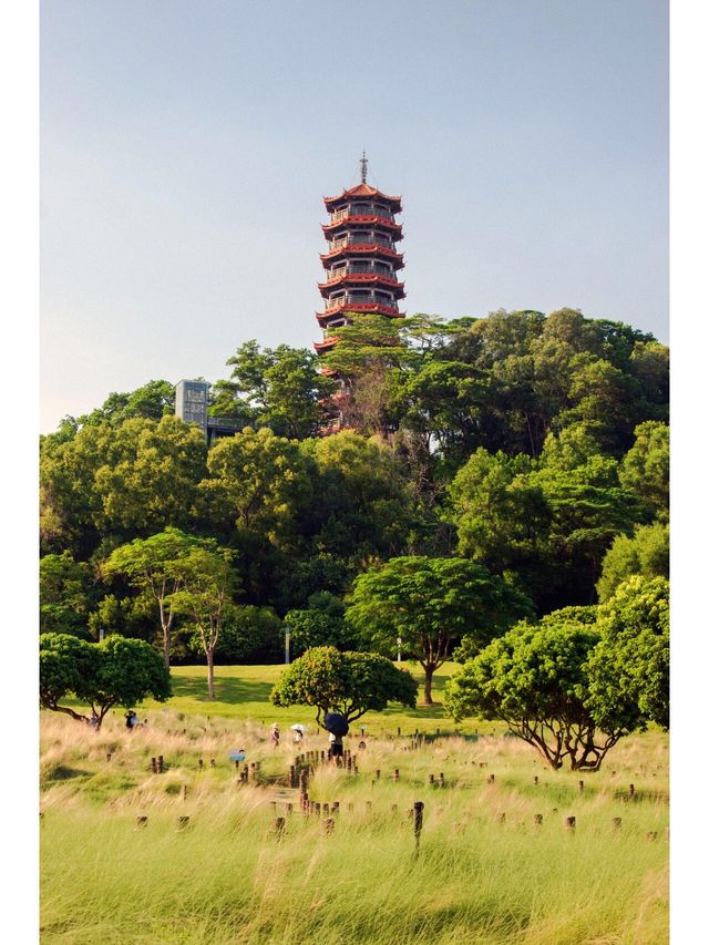 深圳紅花山公園｜走進有風的公園。