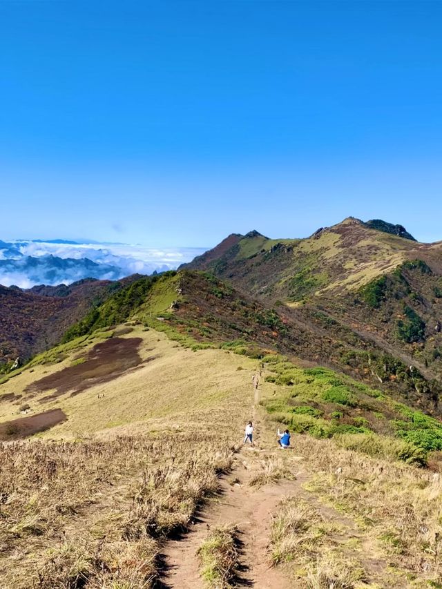 終南山秦楚古道。