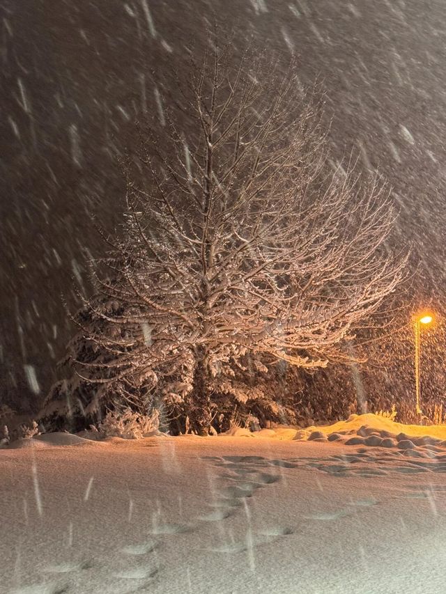 冰島的雪，總是能下到人心坎裡。