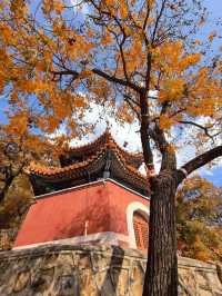 京郊1.5小時自駕終於來到了丫髻山！攻略！。