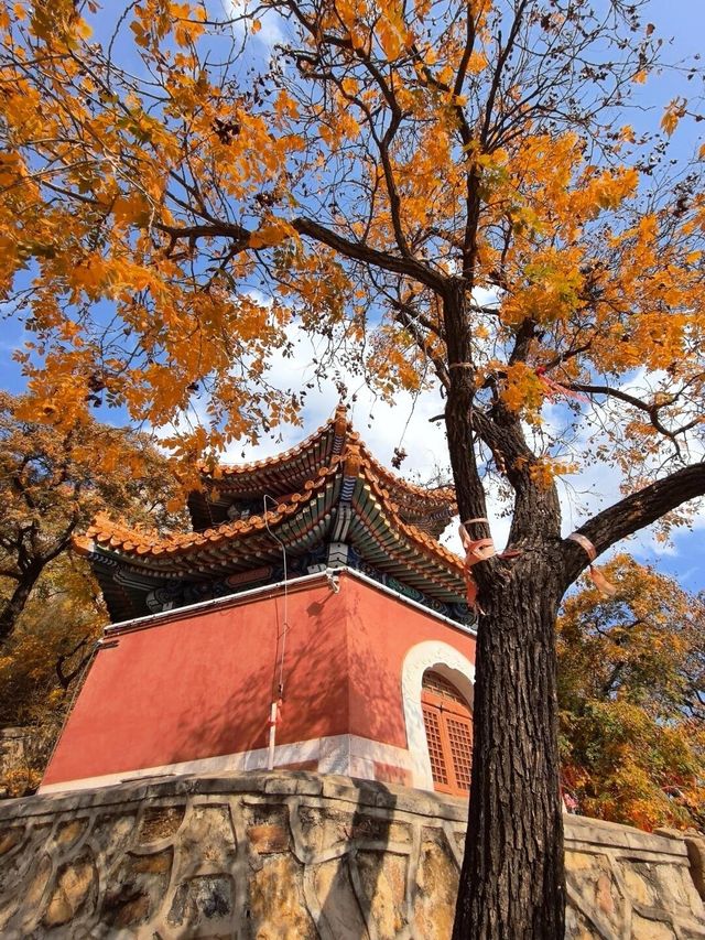 京郊1.5小時自駕終於來到了丫髻山！攻略！。