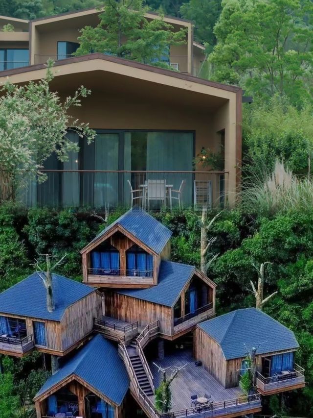 莫干山   體驗掛在樹屋裏的聊友。