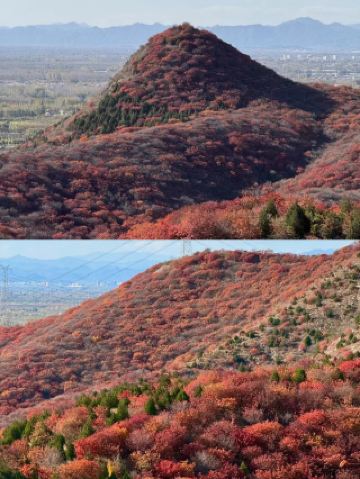 얕은 산에서 춤을 춥니다.