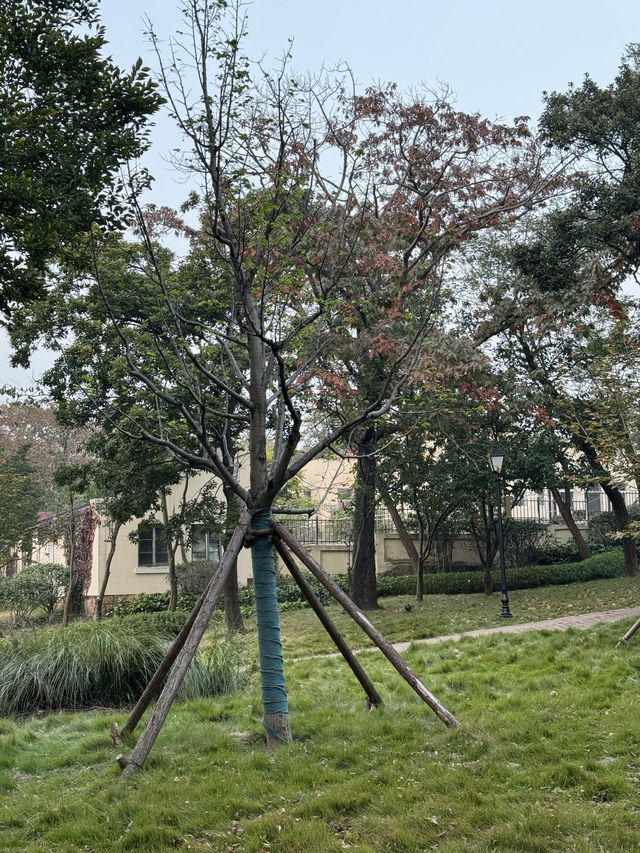 青島市區海邊散步打卡，太平角當然不能錯過。