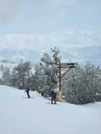 Heavenly Ski Resort Shuttle and Parking Guide