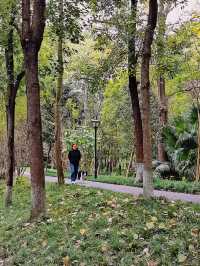 成都沙河公園 | 城市中的綠野仙蹤。