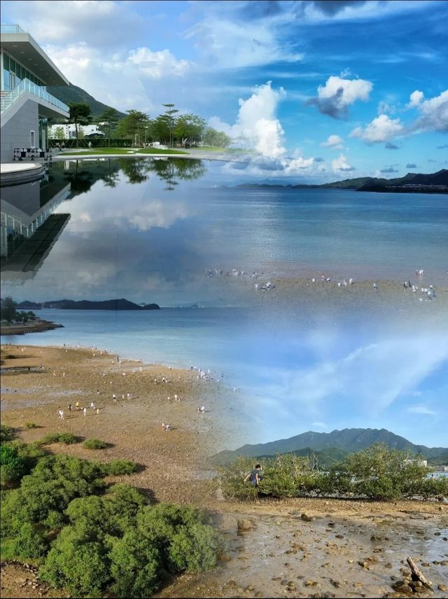 深圳白沙灣公園|邂逅自然之美,重拾生活。 深圳白沙灣公園|邂逅自然之美,重拾生活。