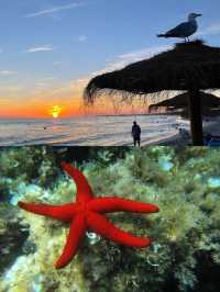 【梅諾卡島：兩天的地中海詩篇】。