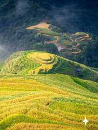 貴州加榜梯田：秋天的金色階梯奇觀|||加榜梯田的最佳旅行時間。