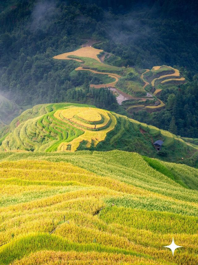 貴州加榜梯田：秋天的金色階梯奇觀|||加榜梯田的最佳旅行時間。