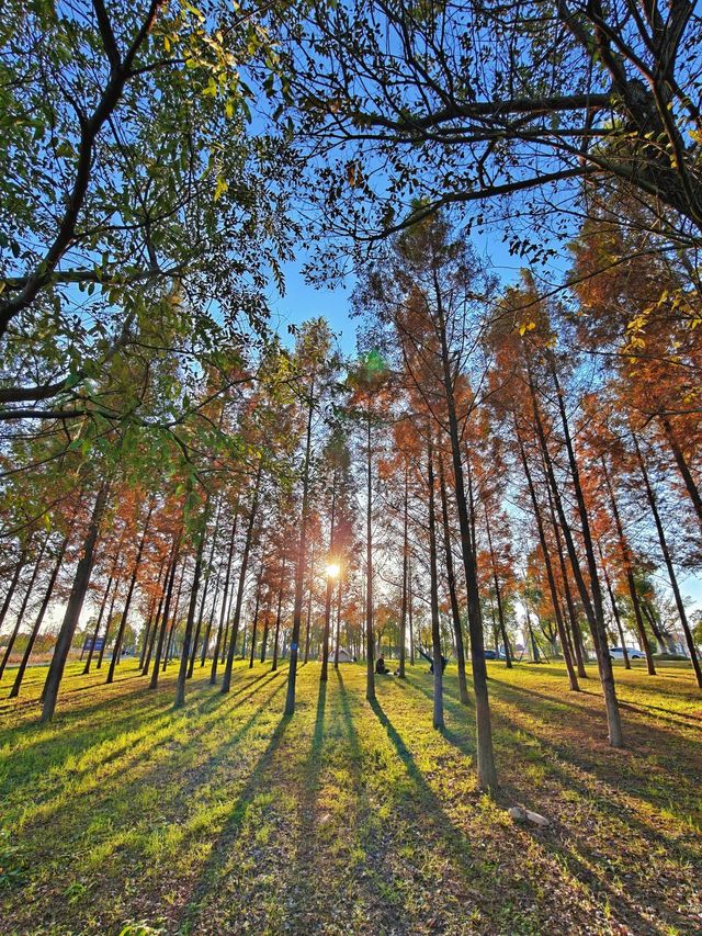 桃源雙洲公園，這樣拍，真的出片！