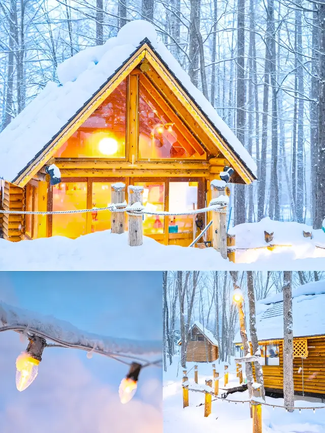 現在的北海道旅遊魅力爆棚，是時候去看雪啦