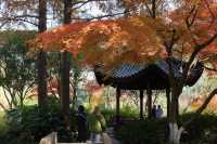 上海紅葉季｜閔行紅園，我言冬日勝春朝
