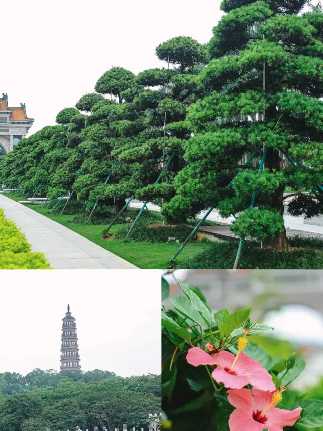 주말 출발 | 순더 맛집 투어 일일 여행 가이드
