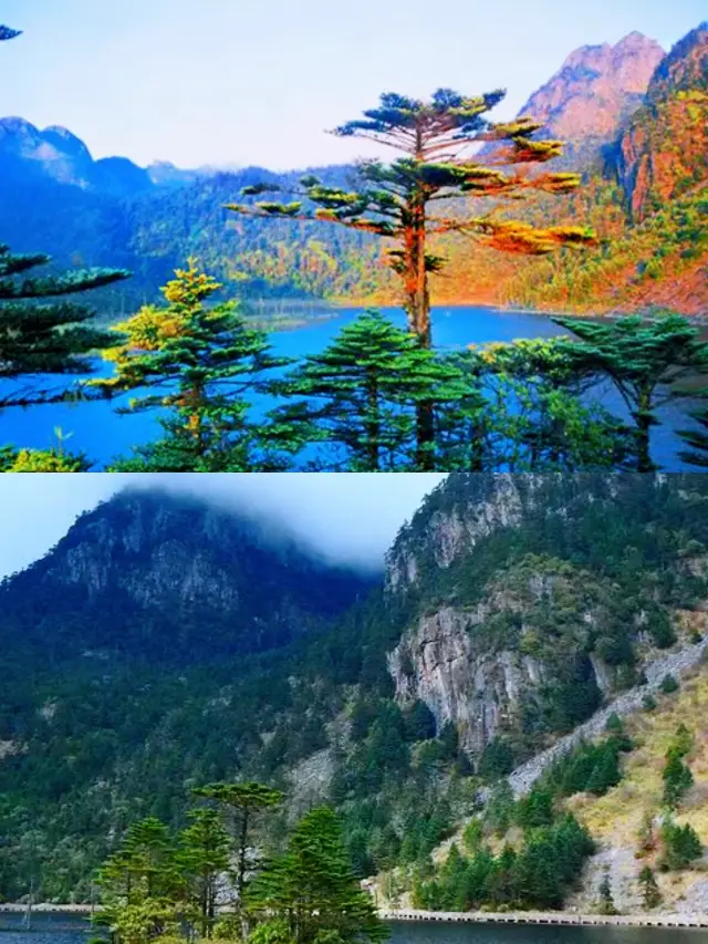 Encounter a natural oxygen bar by Qionghai Lake - Luoji Mountain