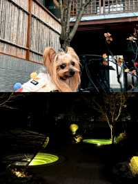 綿陽周邊|實名推薦!帶大泡池的私湯民宿。