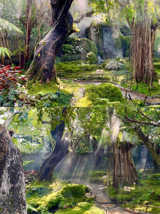 人回來了  心還留在綠野仙蹤 風景太美了