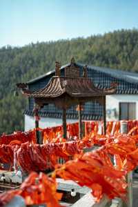長沙周邊小時可達｜神秘祖師洞與明代道觀