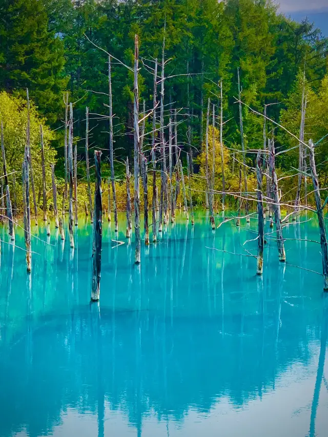 2 Days in Japan: Super Practical Guide