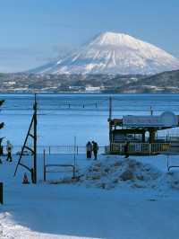 北海道半程遊記,解鎖冬日仙境的絕美秘笈。